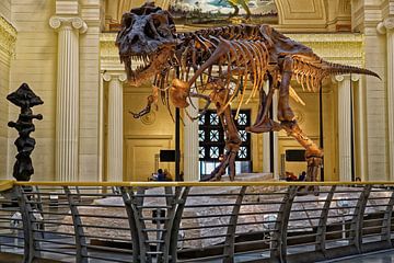 "Sue" de dinosaurus in de hoofdzaal van het Field Museum of Natural History in Chi van Mohamed Abdelrazek