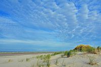 The Dunes