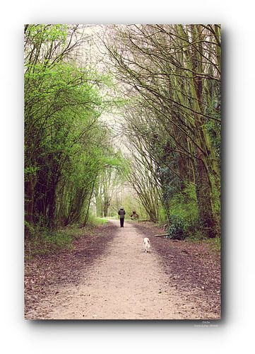 Der Mann und der Hund