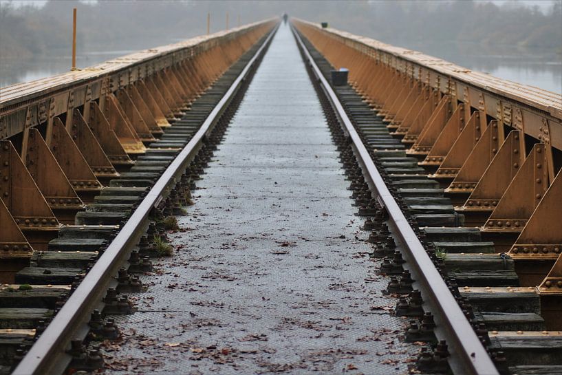 Abandoned railway bridge by ilja van rijswijk