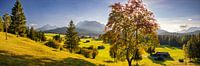 Herfstpanorama Werdenfelser Land van Walter G. Allgöwer thumbnail