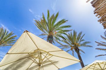 Een dag op het strand