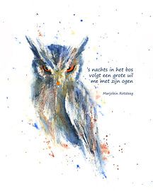 Nachtelijke wandeling in het bos Vogel Haiku Nederlands van Karen Kaspar