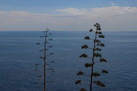 Minimalistische Meereslandschaft auf Malta von Kelly De Preter