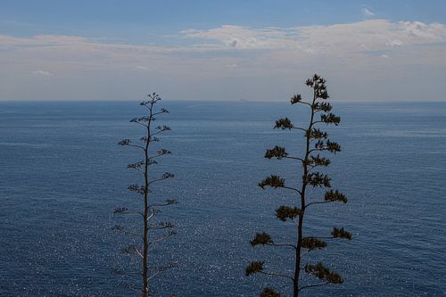 Minimalistische seascape in Malta