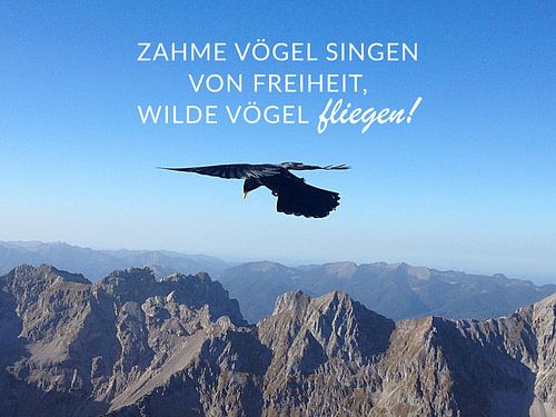 Freiheit in den Bergen