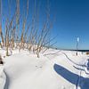 des dunes enneigées sur la plage de Juliusruh, Rügen sur GH Foto & Artdesign