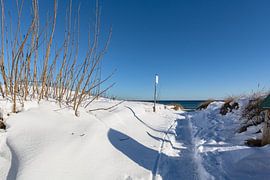 besneeuwde duinen op het strand in Juliusruh, Rügen van GH Foto & Artdesign