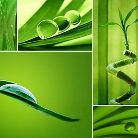 Drop collage by Violetta Honkisz