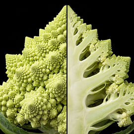 Romanesco — entier et coupé sur Beeld Creaties Ed Steenhoek | Photographie et images artificielles