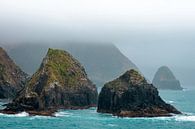 Rotsen in de mist, Nieuw Zeeland van Rietje Bulthuis thumbnail