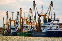 Veilige haven