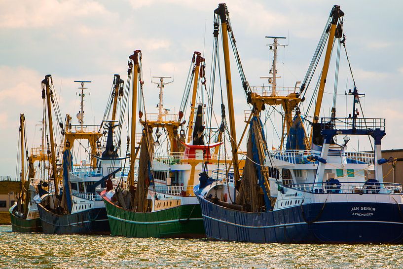 Veilige haven van Mario Lere