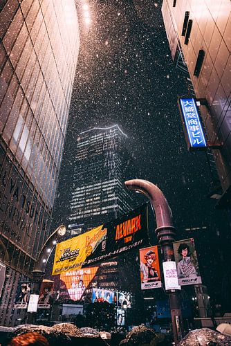 Tokyo sous la neige : un paysage hivernal enchanté en 2024