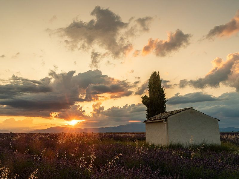 Chalet avec cyprès au coucher du soleil par Hillebrand Breuker