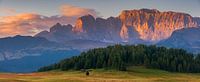 Panoramic photo of a sunrise in Alpe di Siusi by Henk Meijer Photography thumbnail