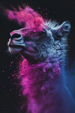 Dreamy - Lama in Colours game by Eva Lee