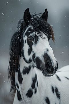 Wintermärchen - Schecke Pferd unter schneebedecktem Himmel von Felix Brönnimann