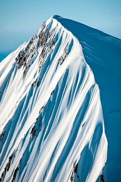 Besneeuwde top - winterlandschap van Poster Art Shop