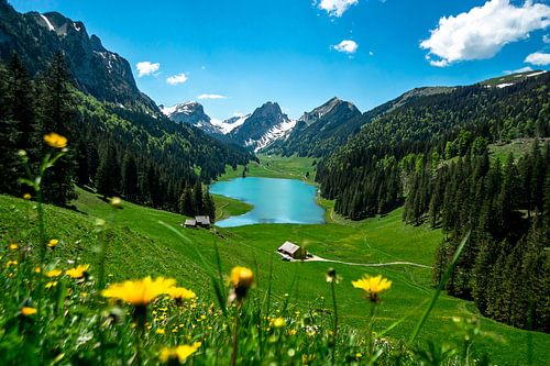 voorjaarsuitzicht op de Sämtisersee en de Hundstein + Altmann