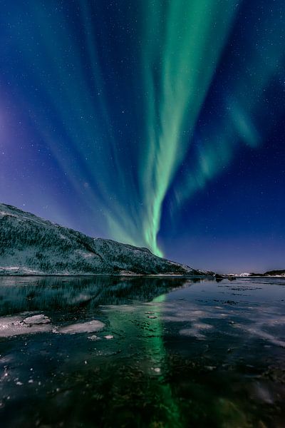 Aurora Nordpolarlicht am Nachthimmel über Nordnorwegen von Sjoerd van der Wal Fotografie
