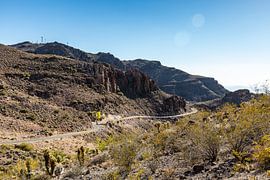 Dodge Challenger on U.S Route 66 - Oatman - Kingman by Martijn Bravenboer