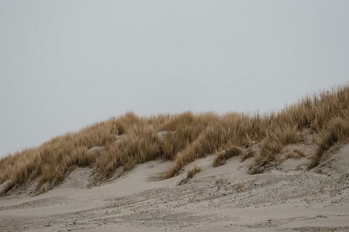 Dunes