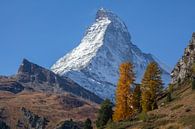 Matterhorn, Zermatt, Wallis, Schweiz, Europa von Torsten Krüger Miniaturansicht