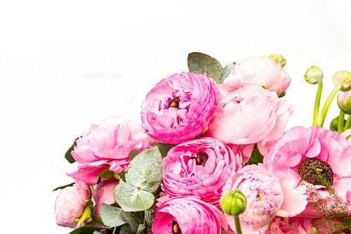 Pastellrosa Blumen auf weißem Hintergrund