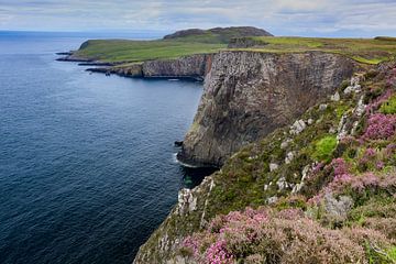 Heather by the Sea - Côte nord de l'île de Skye en Écosse sur André Post