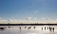 A flight of birds above the skaters on the frozen Paterswoldse lake in Groningen