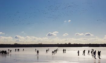 Un vol d'oiseaux au-dessus des patineurs sur le lac gelé de Paterswoldse à Groningen.