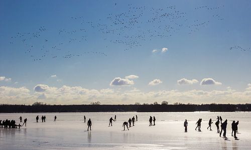 A flight of birds above the skaters on the frozen Paterswoldse lake in Groningen