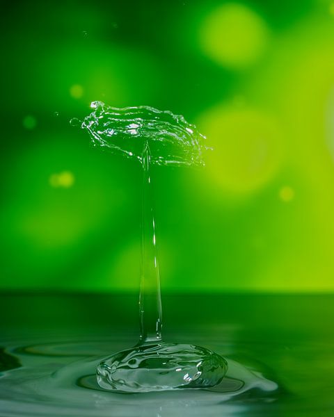 Water drops #5 by Marije Rademaker