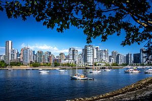 Vancouver Skyline