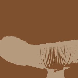 Spores in a fungus