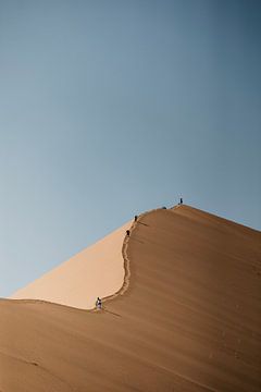 De golvende lijnen van de zandduinen in Namibië van Leen Van de Sande