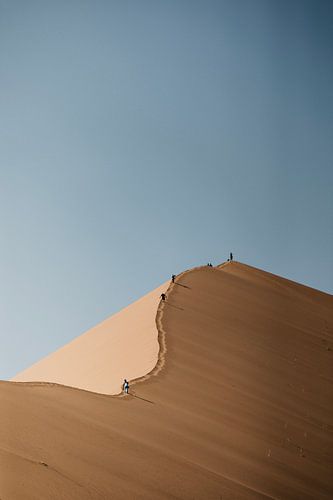Les lignes ondulantes des dunes de sable de Namibie sur Leen Van de Sande