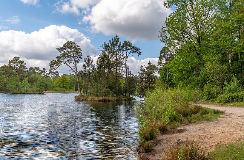 Insel im van Esschenven in Oisterwijk. von Els Oomis