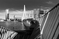 Le pont Erasmus vers le Kop van Zuid par Remco-Daniël Gielen Photography Aperçu