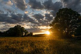 Lumière du soir dans le Kraichgau sur Marcel Hechler
