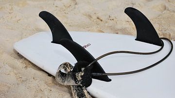 Surfboard in Australia by Be More Outdoor