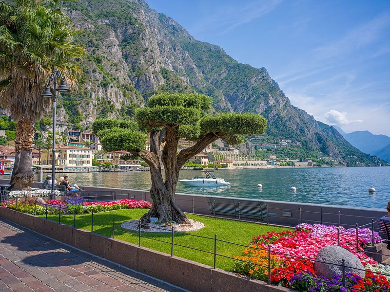 Gardasee - Uferpromenade in Limone sul Garda von t.ART