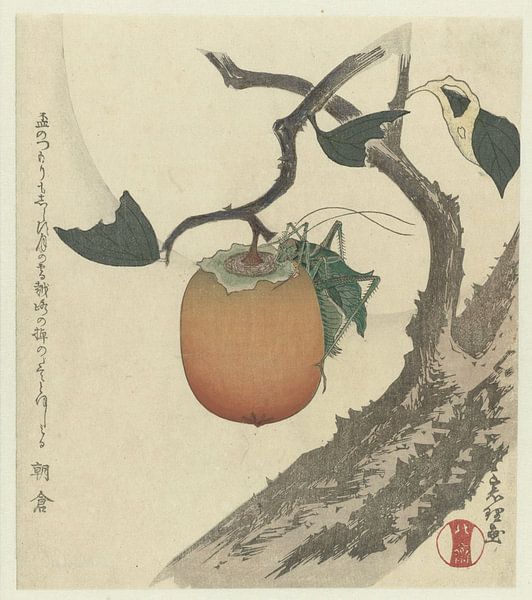Vintage Japanese Art by Hello Pompoyo