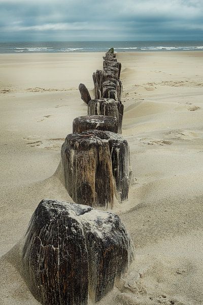 Holzpfosten am Strand von Wim van D