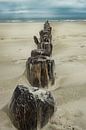 Holzpfosten am Strand von Wim van D Miniaturansicht