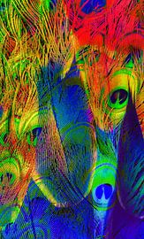 Die große Pfau-Papageien-Studie von Truckpowerr