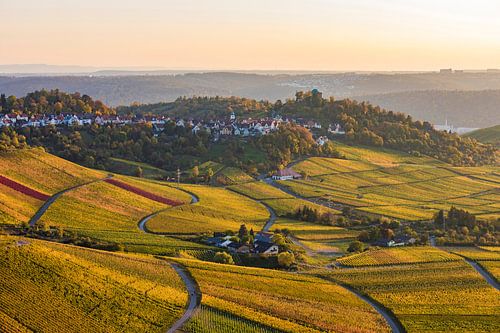Wijngaarden in de herfst bij Stuttgart-Rotenberg
