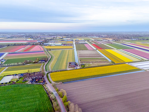 Farben Hollands aus der Vogelperspektive