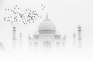 Taj Mahal van Thomas Herzog